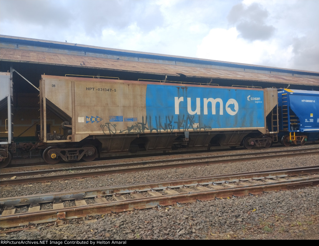 RUMO HPT-031347-5